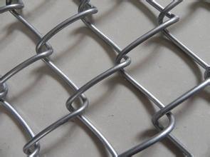 Wire Mesh Fence (chain link) Hot Dipped Galvanized