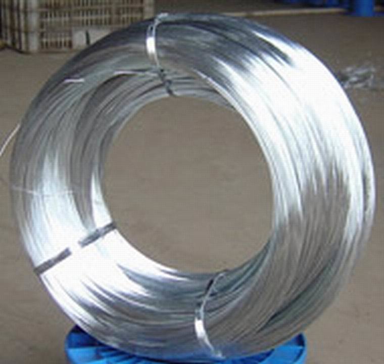 Galvanized Steel Wire/ Hot-DIP Zinc-Plating Galvanized Steel Wire