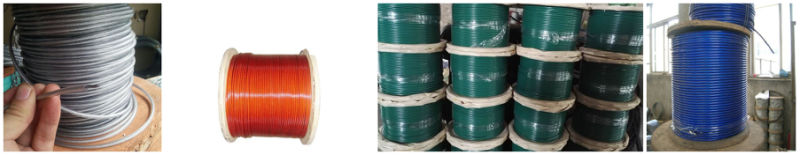 Competitive Price Plastic Coated 7X7 Wire Cable Rope
