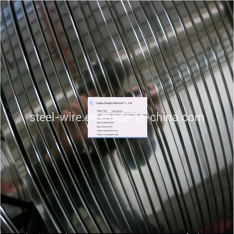 316 Stainless Steel Profiled Wire Customized Steel Wire