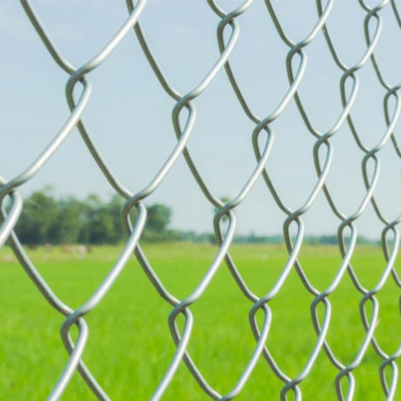 PVC Coated Diamond Wire Fence
