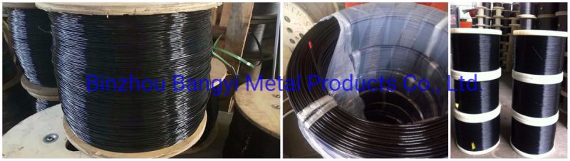 Plastic Coated Stainless Steel Wire Rope