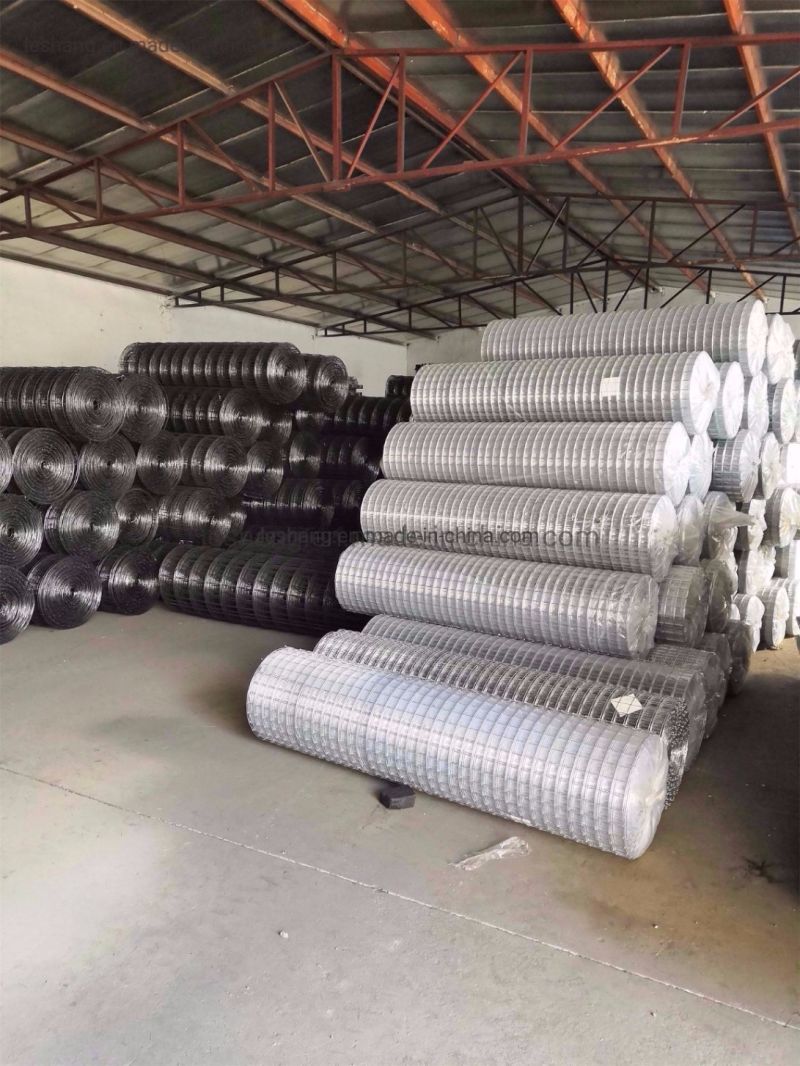 Hot-Dipped Galvanized 1/4" X 1/4" Inch Wire Mesh Fence