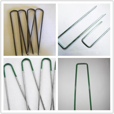 High Quality Galvanized Wire Fabric Staple U Shape Grass Nails