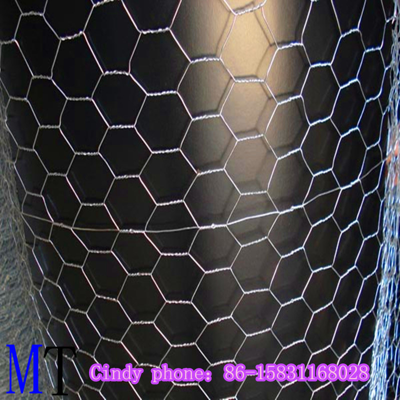 Plastic Coated/Galvanized Hexagonal Wire Mesh 1" 1/2" 3/4"
