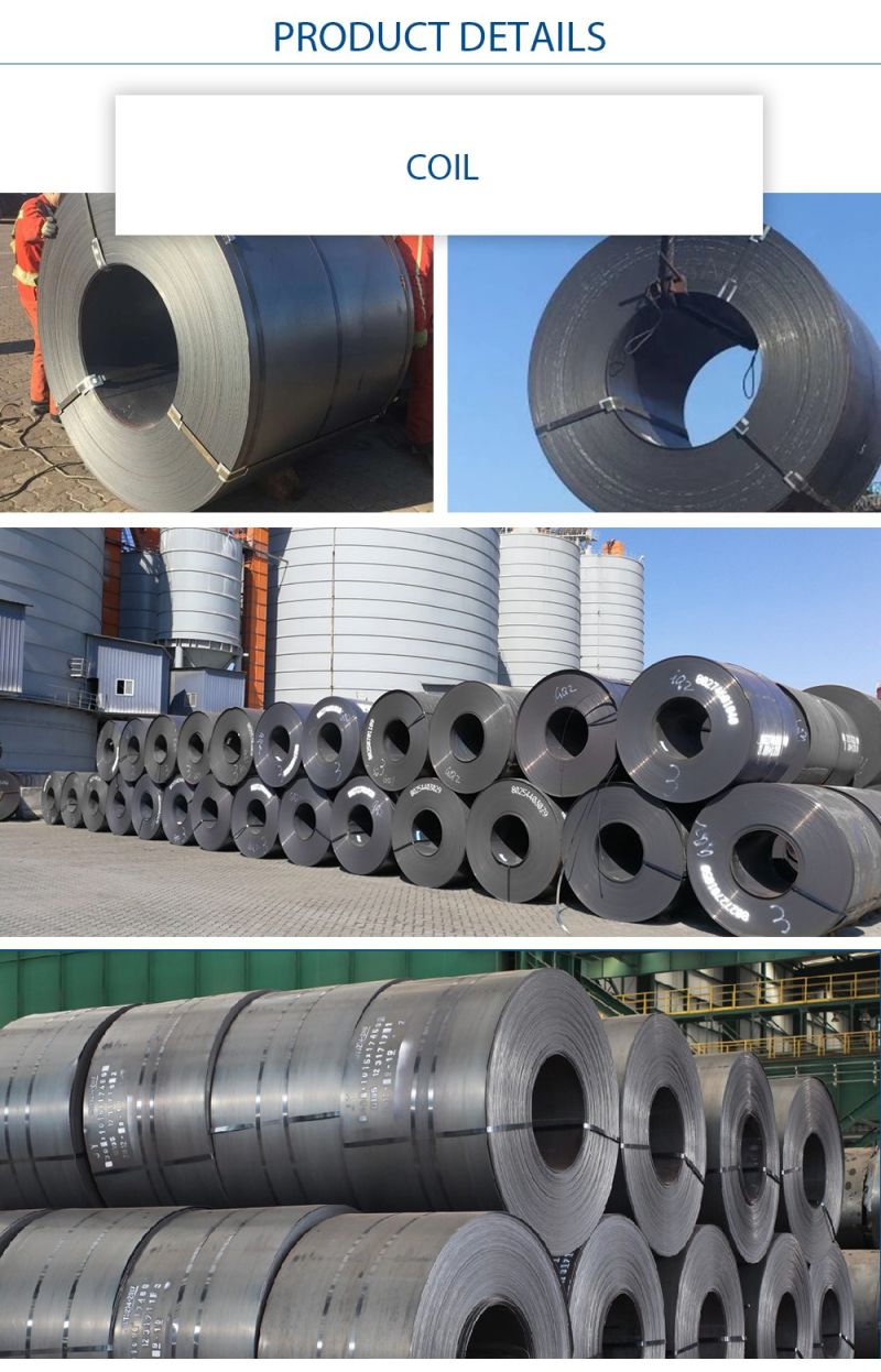 Black Carbon Steel Coil Carbon Steel Plate China Supplier