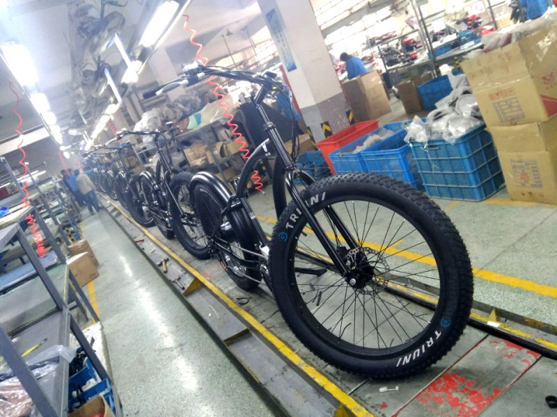 Harry 48V 500W Fat Tire E-Bike Black Electric Mountain Bike for Unisex