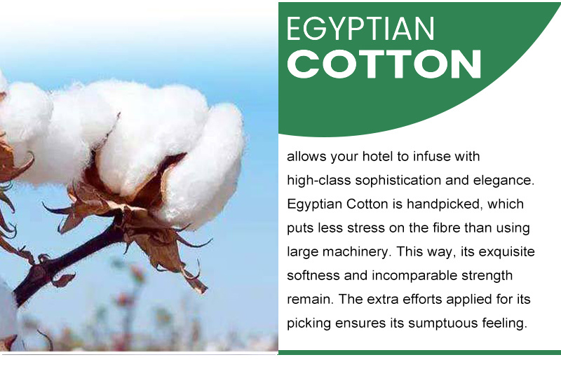 1000 Thread Count Sateen Egyptian Cotton Sheet Set