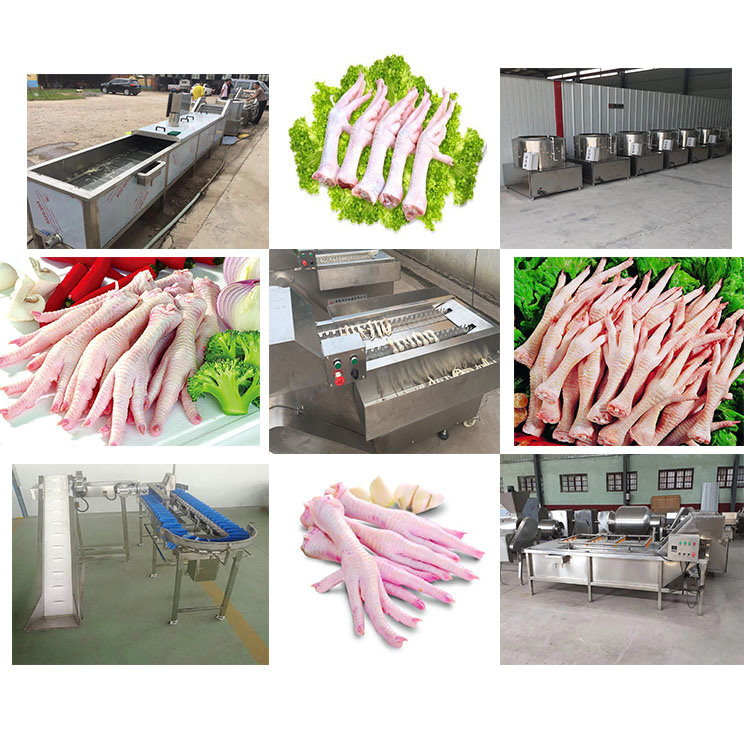 Hot Sale Stainless Steel Poultry Duck Chicken Paw Cutting Machine