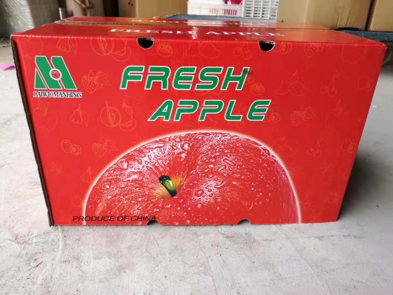 Fresh Good Quality High Quality Paper Bag FUJI Apple