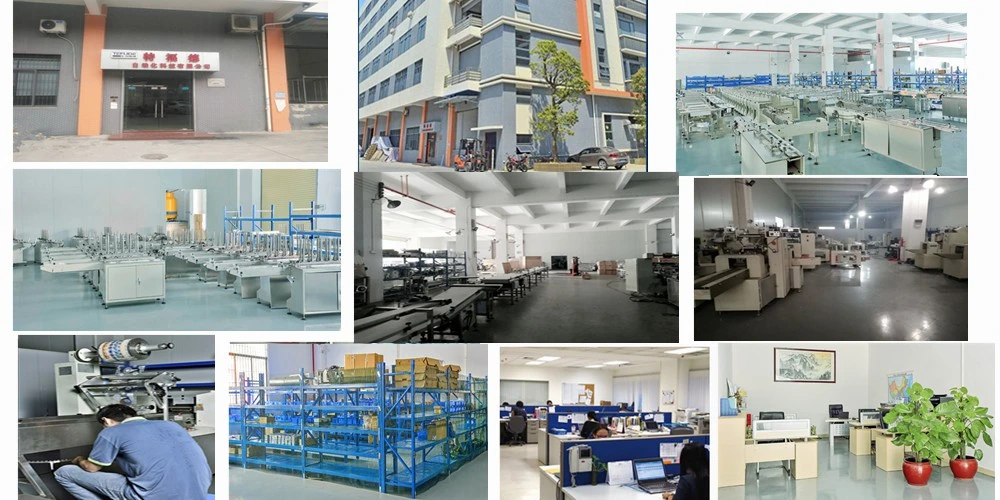 Good Price/High Quality/Fas Speed/ Servo Packing Machine for Hotel Soap/Gloves/Towel/Food Packaging