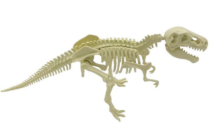 Dinosaur Excavations Kits, Unearth 3D Dinosaur Bones - T-Rex