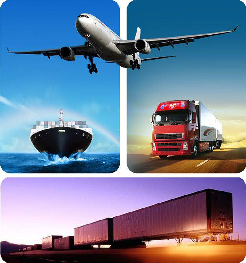 Sea Logistics Sea Cargo Sea Shipping USA From China to Us