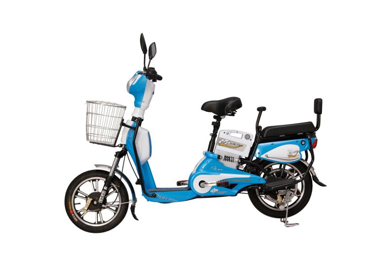 Simple and Easy Driving Electric Bike