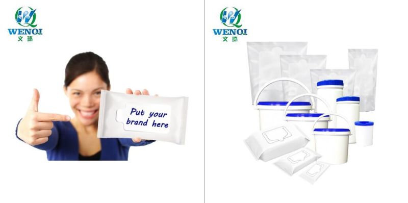 Disposable Facial Cleaning Wet Wipes Makeup Removal Wipes Non-Woven Towel OEM Custom