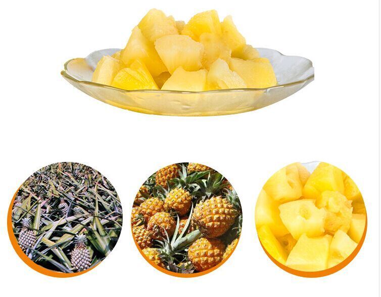 Pineapple Chunks Canned Pineapple with Cheap Price