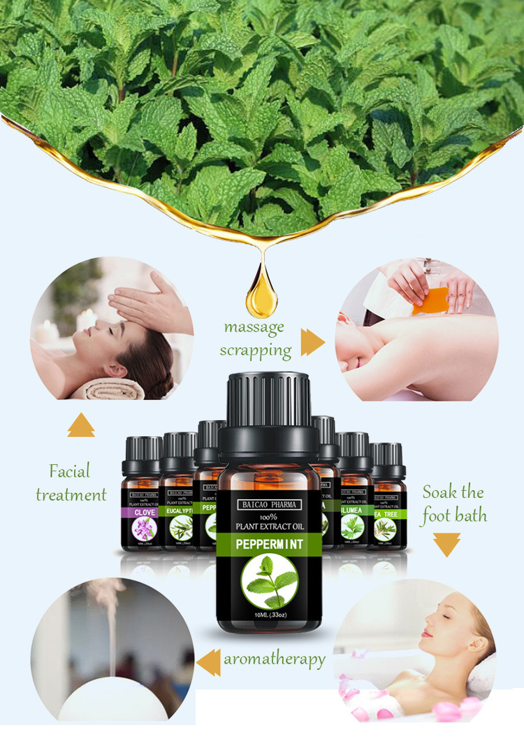 Fragrance Oil Perfume Oil Peppermint Oil Cosmetic Base Oil
