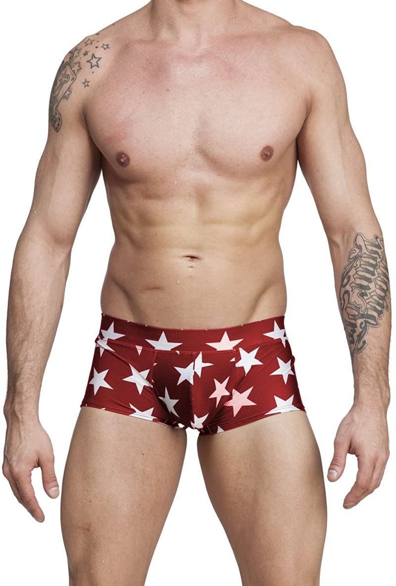 Men's Star Boxer Brief Quick Dry Swimwear