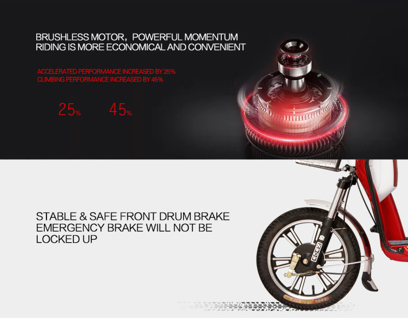 Simple and Easy Driving Electric Bike