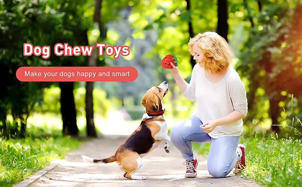 2021 Puppy Chew Toy Pack Rubber Sensory Pet Toys Chew Dog Suction Chewy Toy