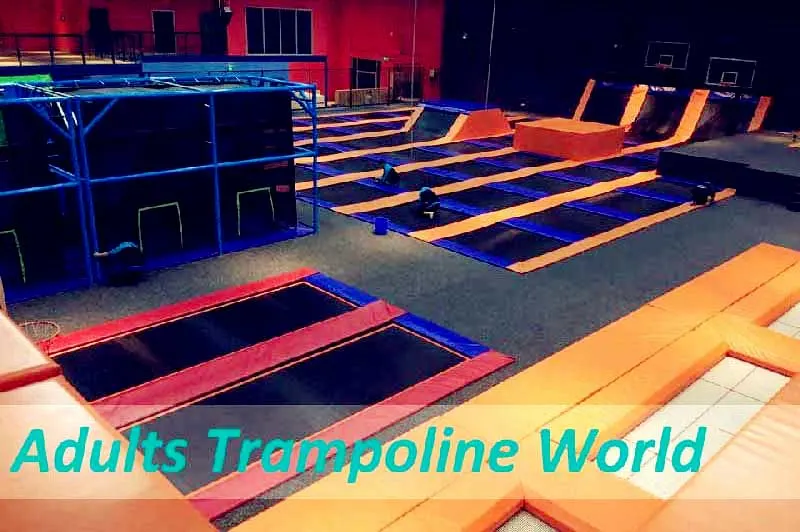 Sky High Indoor Jumping Park Trampoline for Teenager