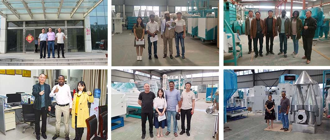 Small Middle-Sized Large-Scale Maize Corn Flour Mill Processing Machine with Lowest Price for Sale