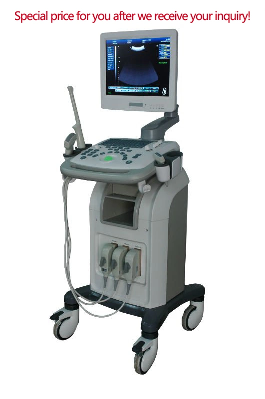 2D Medical Ultrasonic Therapy Equipment with 3.5MHz Convex Probe (THR-US9902)