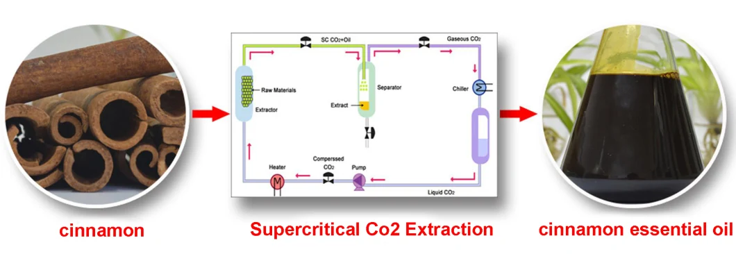 Supercritical CO2 Fluid Extraction Machine/Essential Oil/Plant/Herb Oil Extractor