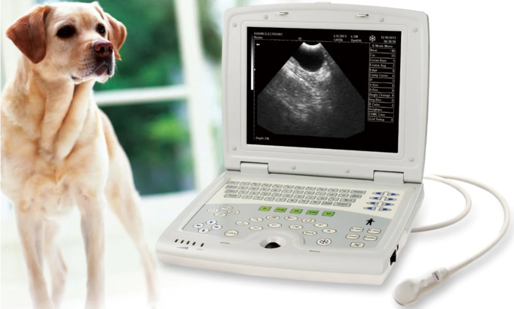 Laptop Notebook Ultrasound Scanner for Animals Kaixin Ultrasound Vet Ultrasound