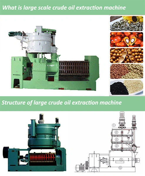 Popular Small Sunflower Palm Oil Mill Press Machine and Coconut Oil Extraction Machine Equipment