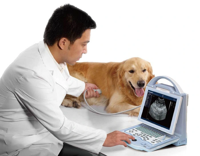 Veterinary Ultrasound Scanner Portable Ultrasound Medical Equipment, Portable Doppler Ultrasonic System, Mobile Medical Ultrasonic Machine