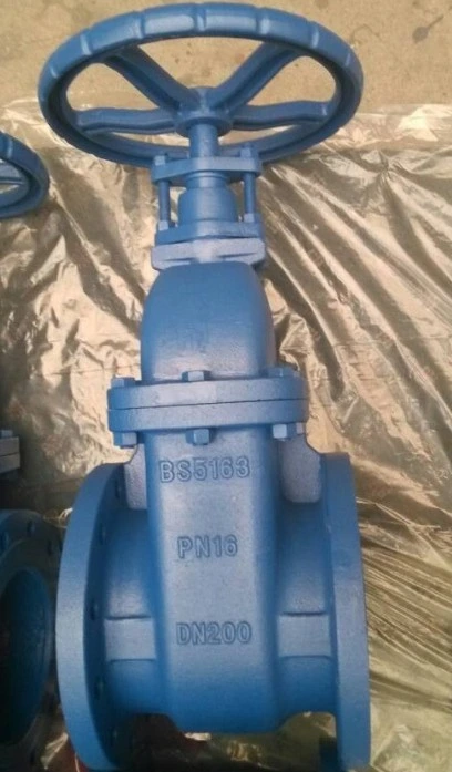 Bs Rising Stem Gate Valve,Gate Valve,Rising Stem Gate Valve (Z45T-PN16-DN50-DN300)