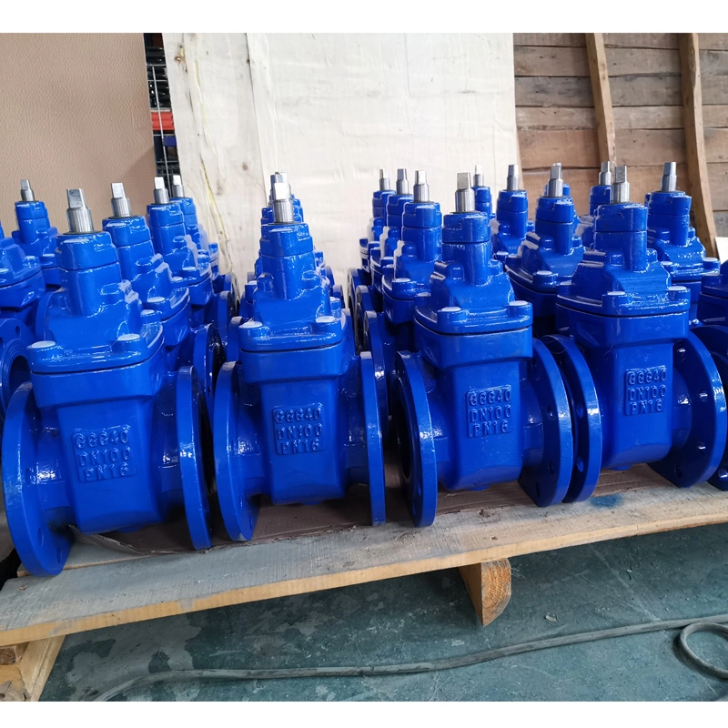 DIN F4 Pn16 DN100 Cast Iron Resilent Gate Valve Globe Valve Swing Check Valve Globe Valve