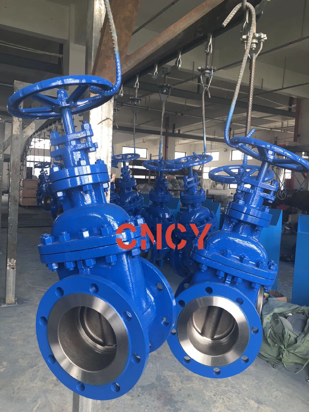 DIN F5 Series Carbon Steel Rising Stem Gate Valve Manufacturer and Trading Company