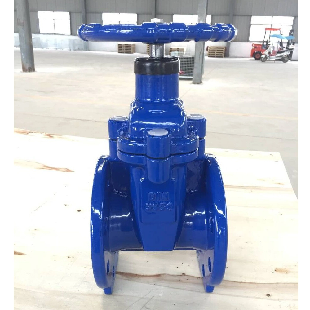 DIN3352 F4 Resilient Seat Ggg50 Gate Valve Pn10 Pn16 Slab Gate Valve Outside Tap with Double Check Valve Demco Valves Flanged Gate Valve