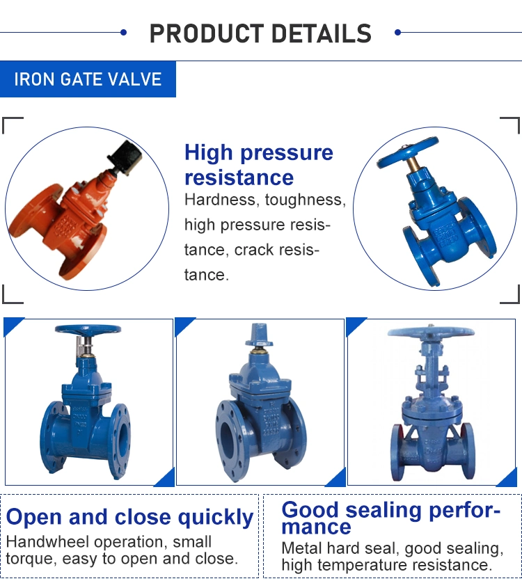 Oil and Gas Pipeline DIN Cast Steel Gate Valves Dn250 Pn16