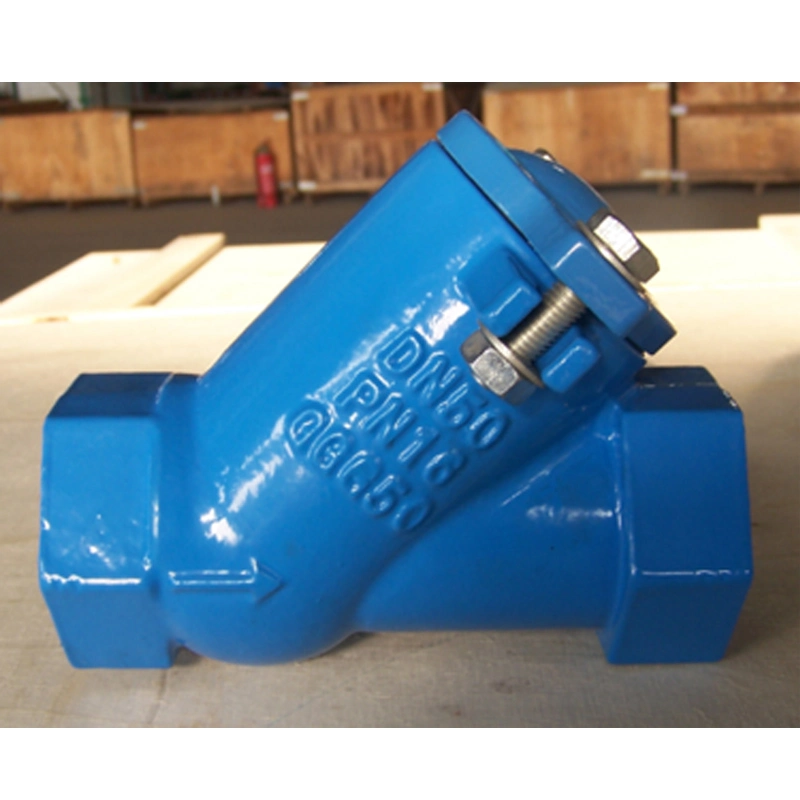 Cast Iron DN100 Pn16 Pressure Flanged Type Check Valve Brass Check Valve Ball Valve Foot Valve