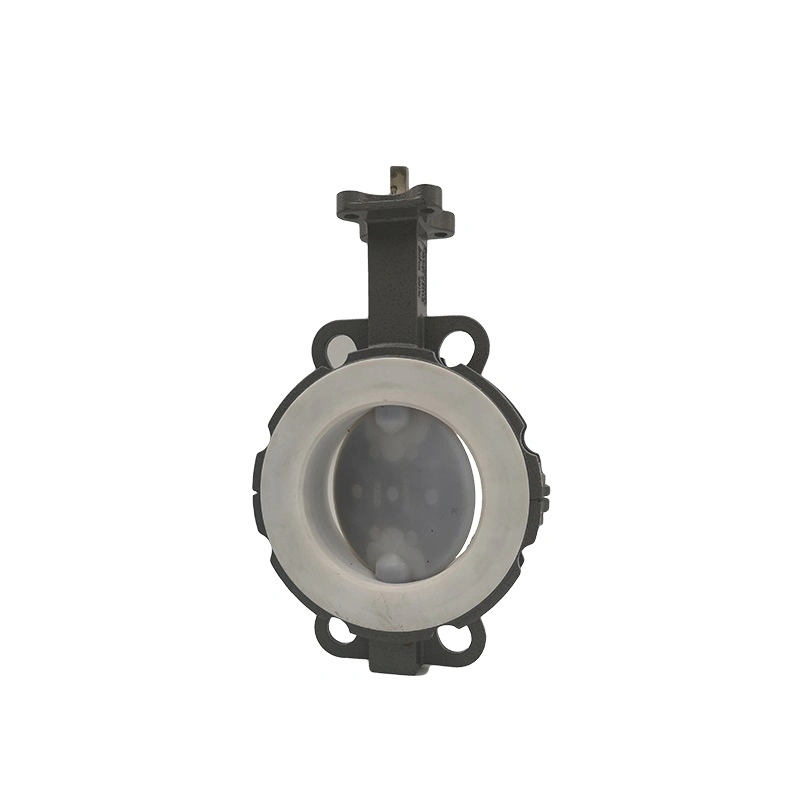 Pn10 Pn16 Wafer Type Butterfly Valve Cast Iron Stainless Steel Wafer Lug Butterfly Valve