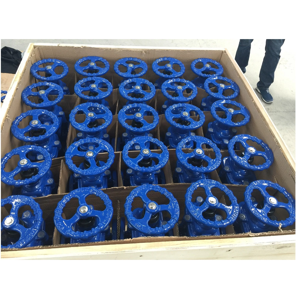 DIN3352 F4 Resilient Seat Ggg50 Gate Valve Pn10 Pn16 Slab Gate Valve Outside Tap with Double Check Valve Demco Valves Flanged Gate Valve