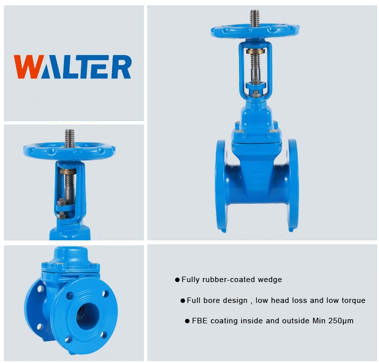 Single-Gate Double Flanges OS&Y Gate Valve