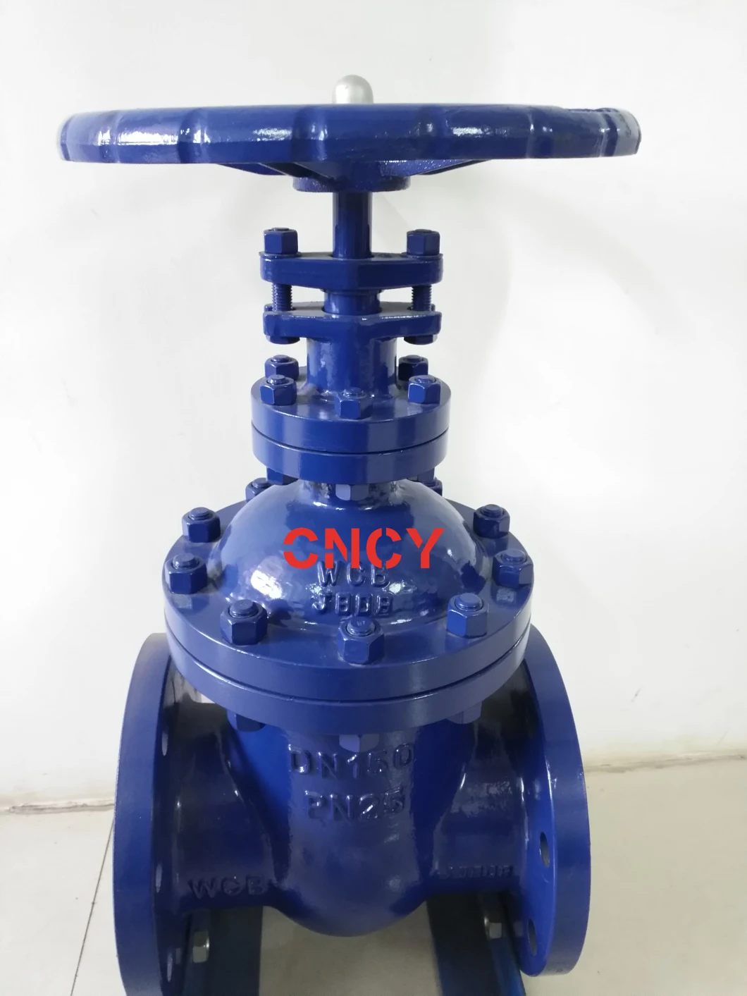 DIN F5 Series Carbon Steel Rising Stem Gate Valve Manufacturer and Trading Company