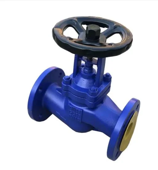 Pn10/Pn16 Cast Iron Ductile Iron BS DIN ANSI JIS Globe Valve Gate Valve Check Valve