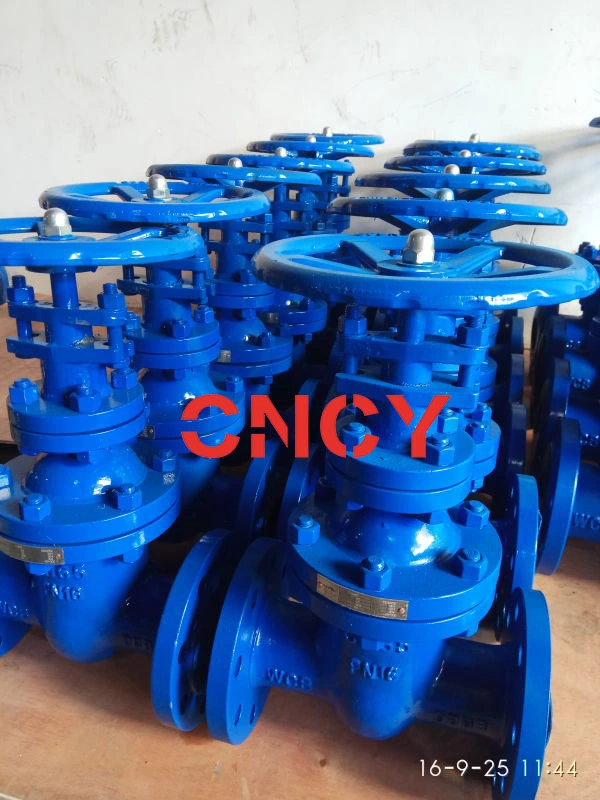 DIN F5 Series Carbon Steel Rising Stem Gate Valve Manufacturer and Trading Company