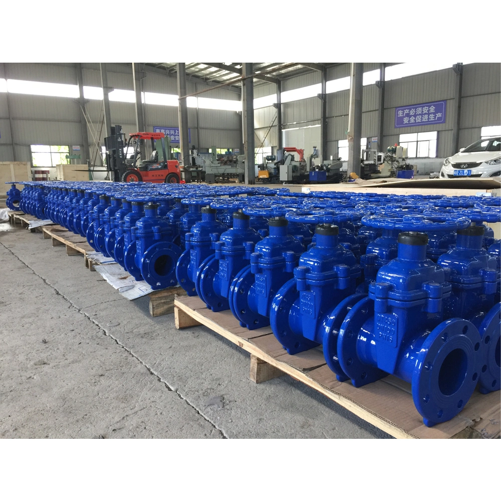 DIN3352 F4 Resilient Seat Ggg50 Gate Valve Pn10 Pn16 Slab Gate Valve Outside Tap with Double Check Valve Demco Valves Flanged Gate Valve