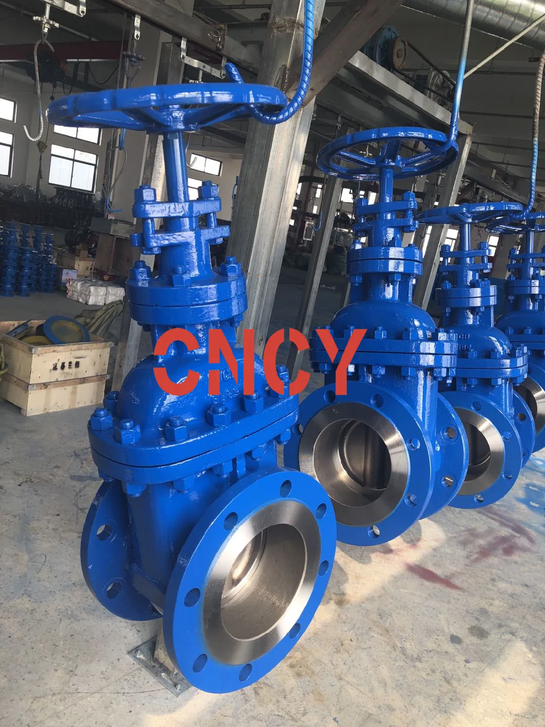 DIN F5 Series Carbon Steel Rising Stem Gate Valve Manufacturer and Trading Company