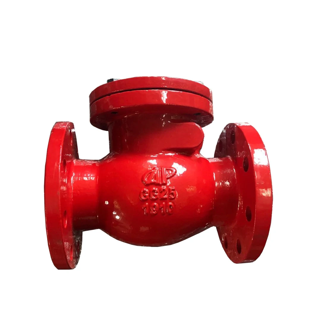 BS5153 Swing Check Valve Pn16 Sump Pump OS&Y Check Valve Pipe Fitting Check Valve Gate Valve Swagelok Check Valve Ball Valve