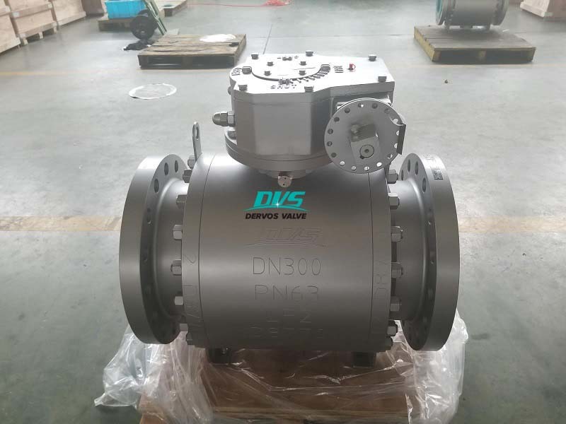 DN300 Pn63 Ball Valve Dbb