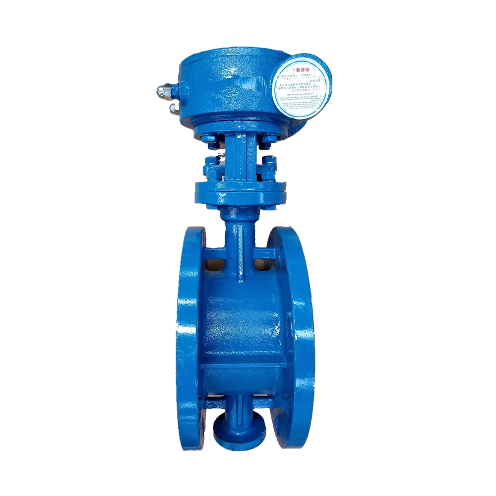 Pn10 Pn16 Wafer Type Butterfly Valve Cast Iron Stainless Steel Wafer Lug Butterfly Valve