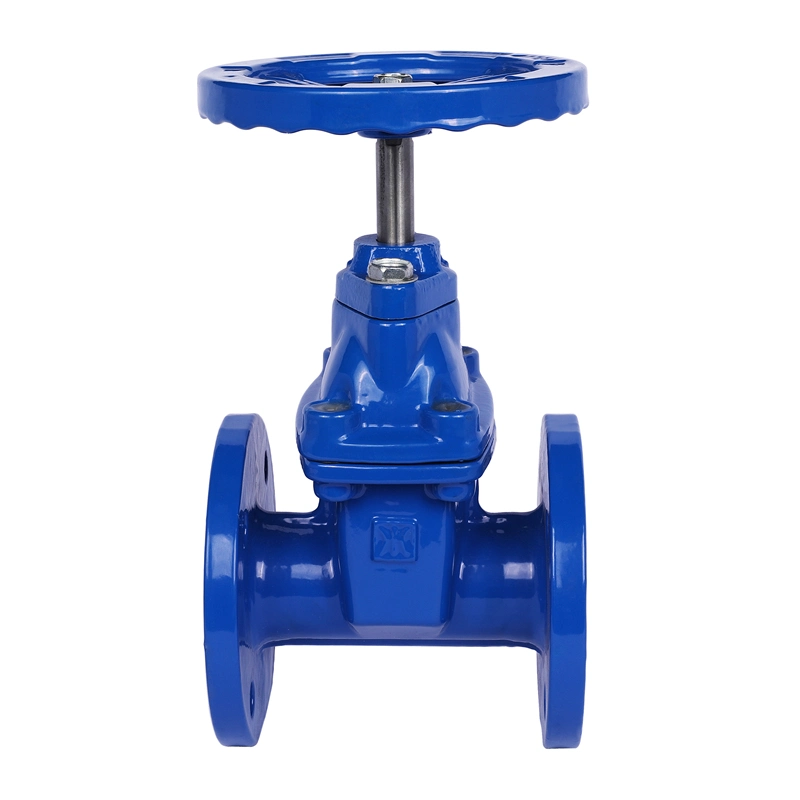 China Famous Brand Jklong Cast Iron Gate Valve Ductile Iron Gate Valve