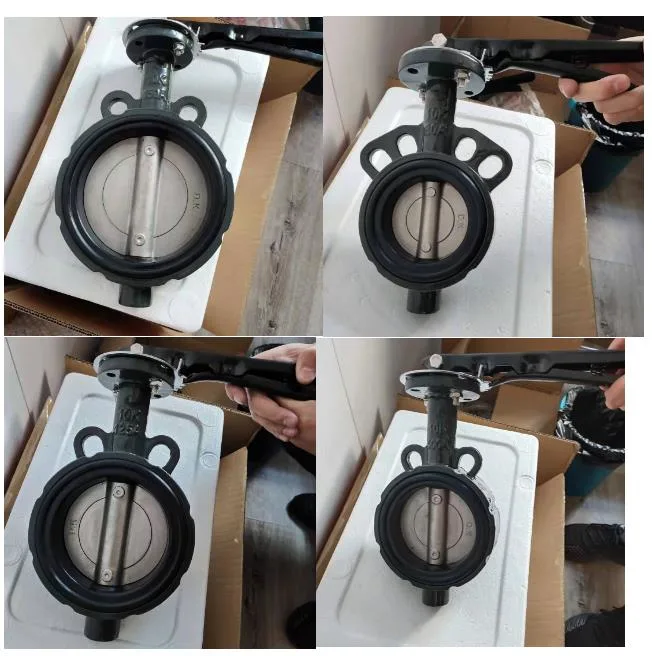 Butterfly Valve Butterfly Valve with Prices DN100 Pn16 Lug Dk JIS 10K Butterfly Valve with Handwheelstainless Steel